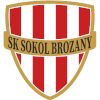 Sokol Brozany Sokol Brozany