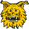 Ilves Tampere Ilves Tampere