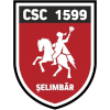 ACS Viitorul Selimbar ACS Viitorul Selimbar