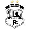 Zamora Barinas Zamora Barinas