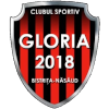 FC Gloria Bistrita