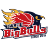 Iwate Big Bulls