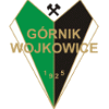 Gornik Wojkowice