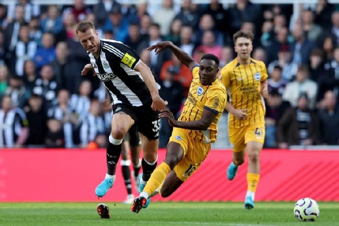 Nhận định, Soi kèo Newcastle vs Brighton, 20h45 ngày 2/3