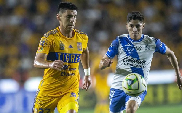 Nhận định Tigres UANL vs Puebla, VĐQG Mexico 9h10 ngày 4/12/2023 