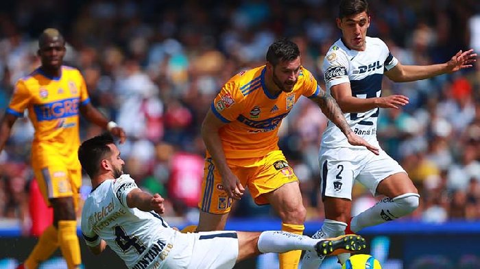 Nhận định Tigres UANL vs Pumas UNAM, lúc 8h00 ngày 4/2