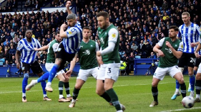 Nhận định Sheffield Wed vs Plymouth Argyle, 2h45 ngày 6/3