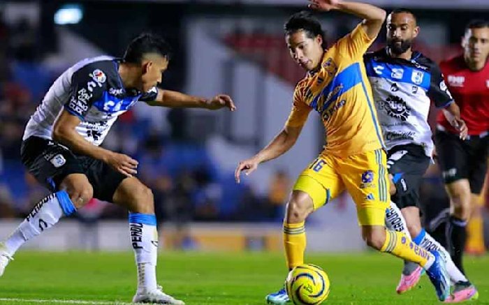 Nhận định, Soi kèo Tigres UANL vs Queretaro FC, 8h00 ngày 8/3