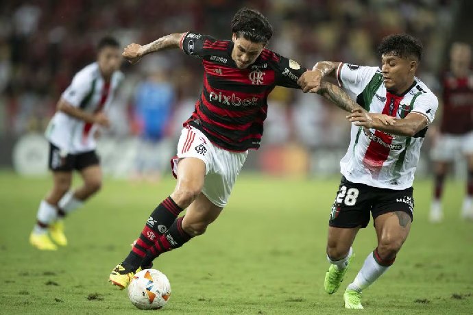 Nhận định Palestino vs Flamengo, 7h ngày 8/5