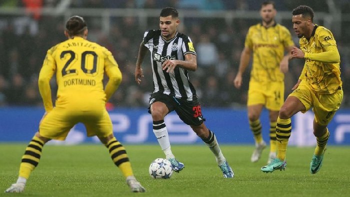Nhận định Borussia Dortmund vs Newcastle, vòng bảng Cúp C1 châu Âu 0h45 ngày 8/11