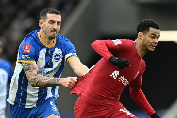 Nhận định Brighton vs Liverpool, vòng 8 Ngoại hạng Anh 20h00 ngày 8/10/2023