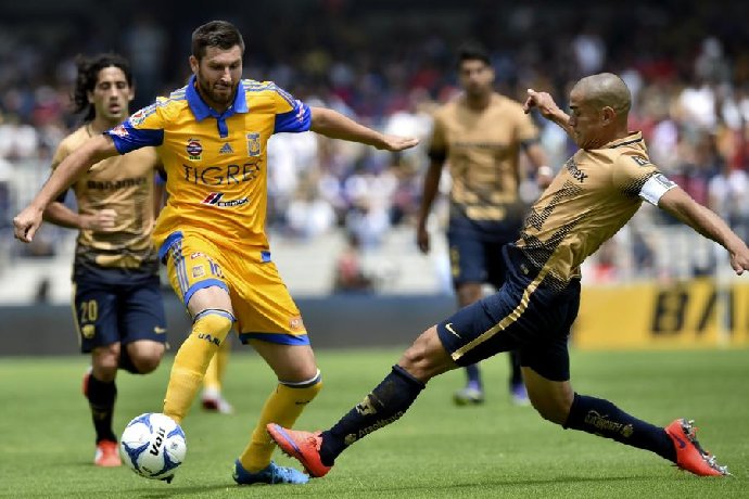 Nhận định Tigres UANL vs Pumas UNAM, VĐQG Mexico 9h00 ngày 11/12/2023