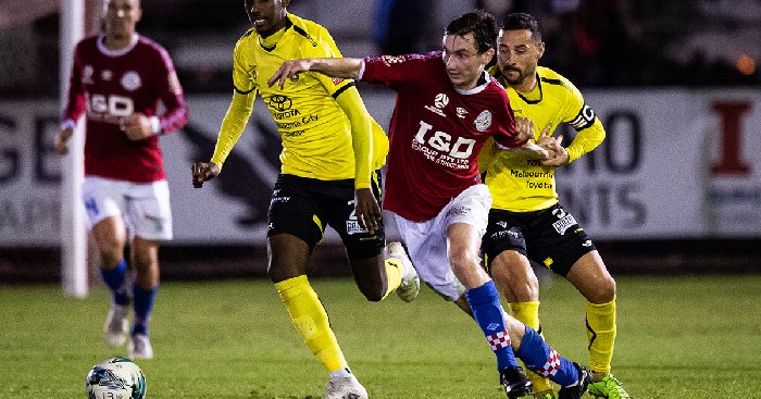 Nhận định Heidelberg United vs Melbourne Knights, 16h30 ngày 12/7