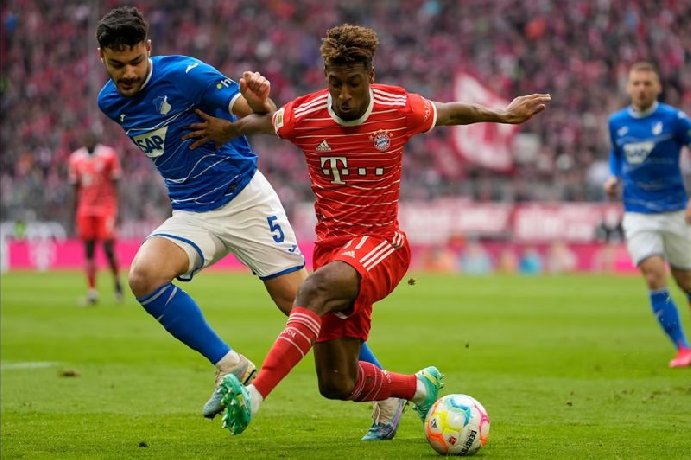 Nhận định, Soi kèo Bayern Munich vs Hoffenheim, 02h30 ngày 16/1