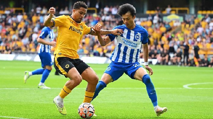 Nhận định, Soi kèo Brighton vs Wolverhampton, 1h45 ngày 19/9