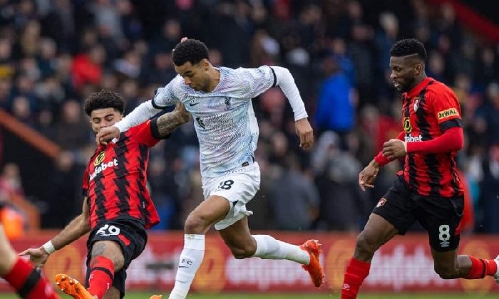  Nhận định Bournemouth vs Liverpool 20h00 ngày 20/9: Chủ-khách chia điểm