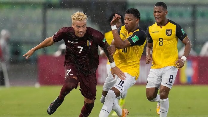 Nhận định Ecuador vs Venezuela, 5h ngày 23/6