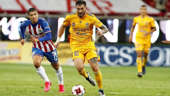 Nhận định Tigres UANL vs Guadalajara Chivas, 10h ngày 25/08