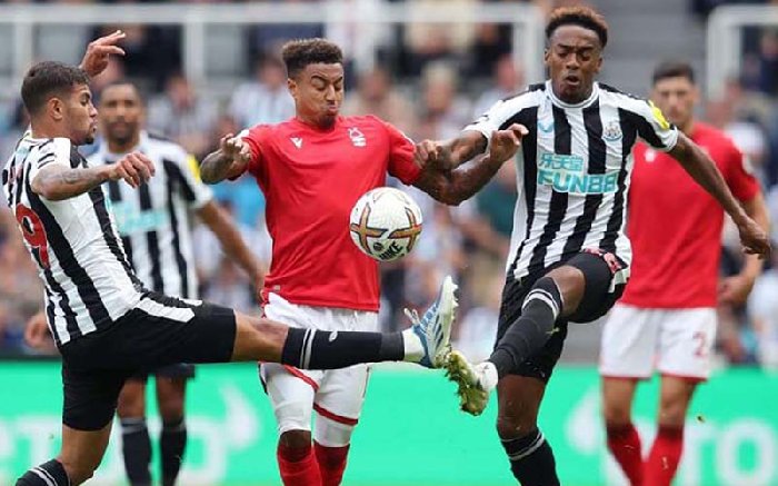 Nhận định dự đoán Newcastle vs Nottingham, lúc 19h30 ngày 26/12/2023