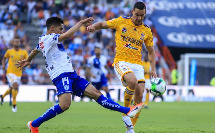 Nhận định, Soi kèo Tigres UANL vs Pachuca, 10h ngày 27/10