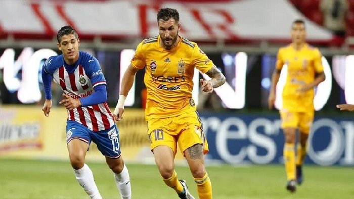 Nhận định Chivas Guadalajara vs Tigres UANL, vòng 14  Primera Division de Mexico 8h05 ngày 29/10