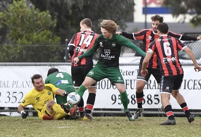 Nhận định Bulleen Lions vs Melbourne Victory FC Am, 17h30 ngày 29/7