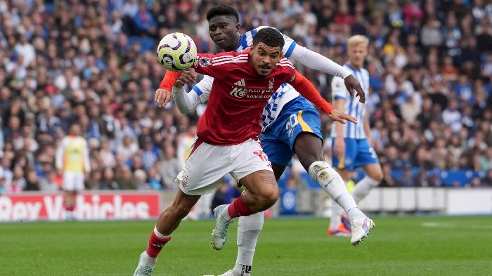 Nhận định, Soi kèo Nottingham Forest vs Brighton, 19h30 ngày 1/2