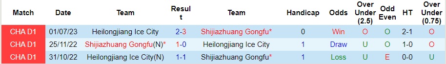 Nhận định Shijiazhuang Gongfu vs Heilongjiang Ice City, vòng 27 Hạng Hai Trung Quốc 18h30 ngày 18/10/2023  - Ảnh 1
