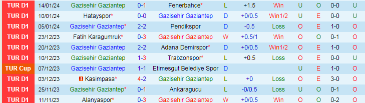 Nhận định dự đoán Gazisehir Gaziantep vs Bodrumspor, lúc 19h00 ngày 17/1/2024 - Ảnh 1