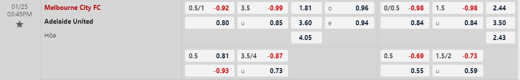 Soi kèo nhà cái Melbourne City vs Adelaide United, lúc 15h45 ngày 25/1/2024 - Ảnh 1