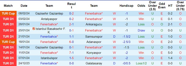 Nhận định Fenerbahce vs Alanyaspor, 23h00 ngày 11/2 - Ảnh 1