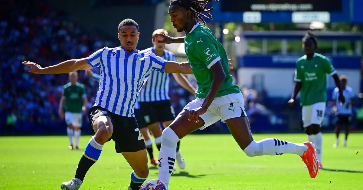 Kết quả bóng đá hôm nay 12/8: Sheffield Wednesday hủy diệt Plymouth Argyle - Ảnh 1