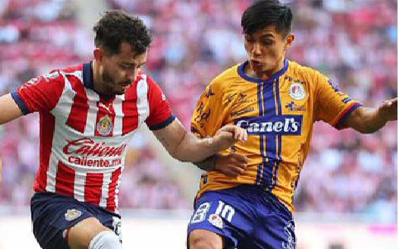 Nhận định, Soi kèo Atletico San Luis vs Guadalajara, 10h05 ngày 27/2 - Ảnh 1