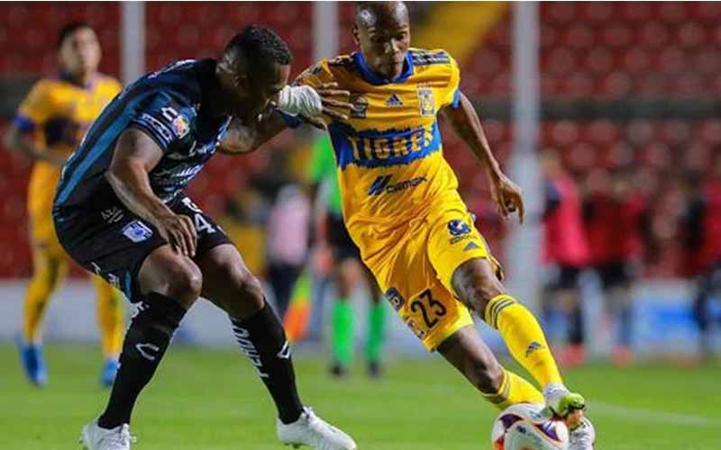 Nhận định, Soi kèo Tigres UANL vs Queretaro FC, 8h00 ngày 8/3 - Ảnh 4