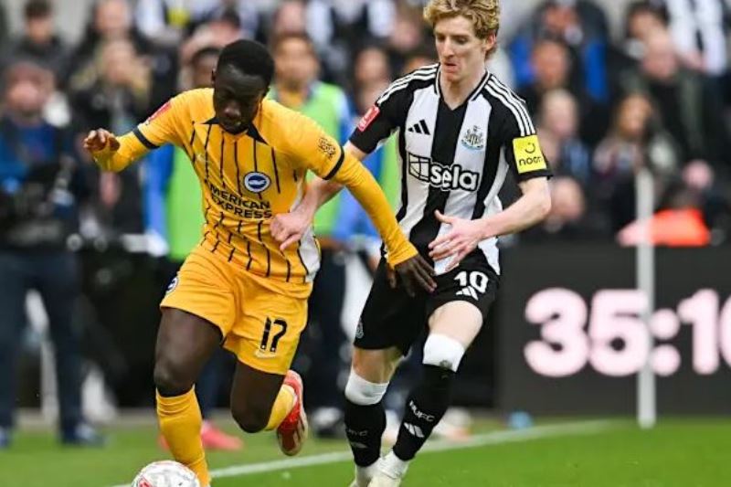Nhận định, Soi kèo Brighton vs Newcastle 20h00 ngày 04/05: Giữ vững TOP 4 - Ảnh 1
