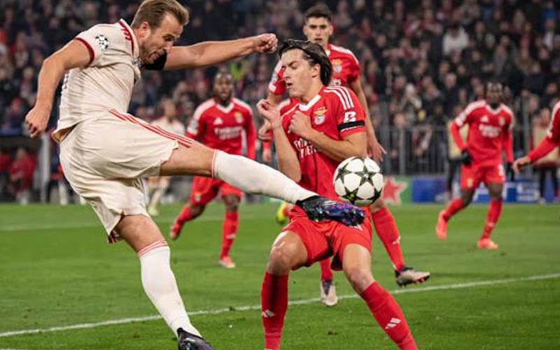 Nhận định, Soi kèo Benfica vs Bayern Munich 2h00 ngày 25/6: Sức mạnh của Hùm Xám - Ảnh 1