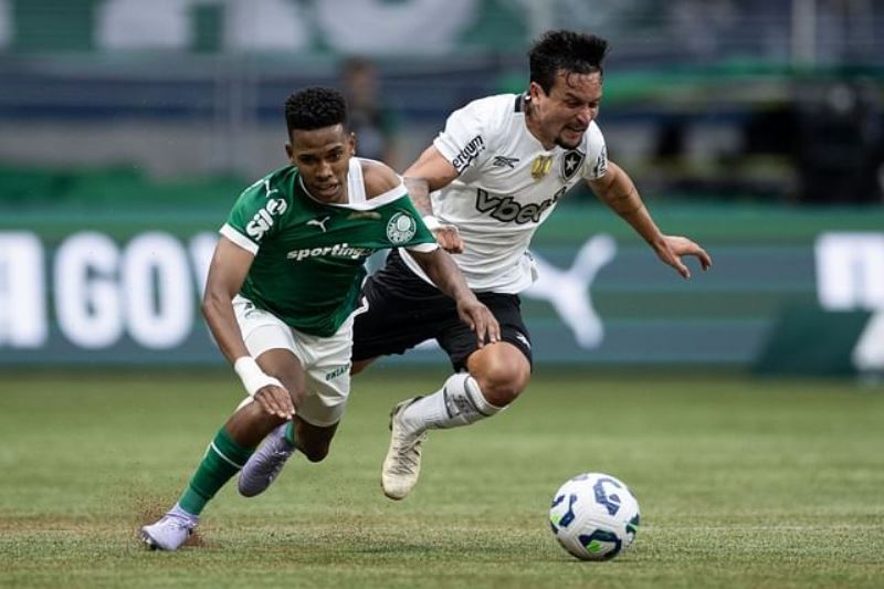 Nhận định, Soi kèo Palmeiras vs Botafogo 23h00 ngày 28/06: Cửa dưới thắng kèo - Ảnh 1