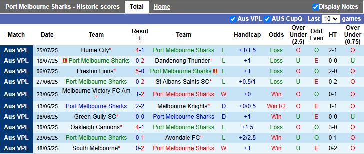 Nhận định, Soi kèo Port Melbourne Sharks vs Dandenong City 17h15 ngày 1/8: Mạch thua kéo dài - Ảnh 2
