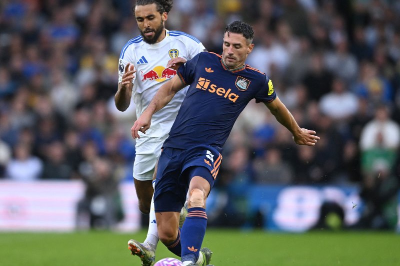 Nhận định, Soi kèo Bolton vs Wimbledon 21h00 ngày 06/09: Chủ nhà tự tin - Ảnh 1