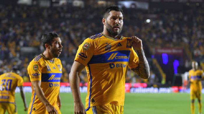 Phân tích phong độ và lợi thế sân nhà Pumas UNAM trước cuộc tiếp đón Tigres UANL tại Liga MX