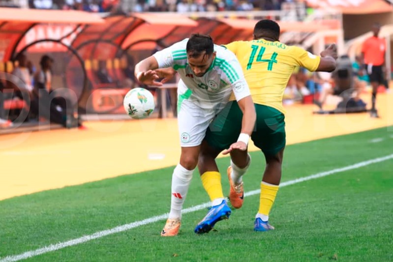 Nhận định, Soi kèo Somalia vs Algeria 23h00 ngày 09/10: Khách thắng nhẹ nhàng - Ảnh 1