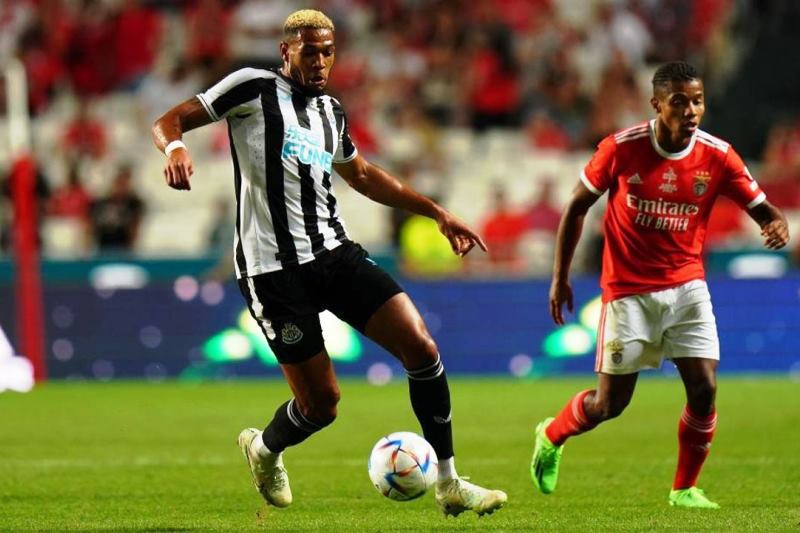 Nhận định, Soi kèo Newcastle vs Benfica 02h00 ngày 22/10: Điểm tựa sân nhà - Ảnh 1