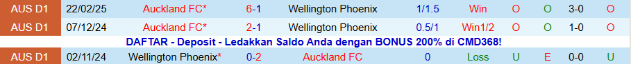 Nhận định, Soi kèo Wellington Phoenix vs Auckland, 13h00 ngày 8/11: Gục ngã trước ngáo ộp - Ảnh 3