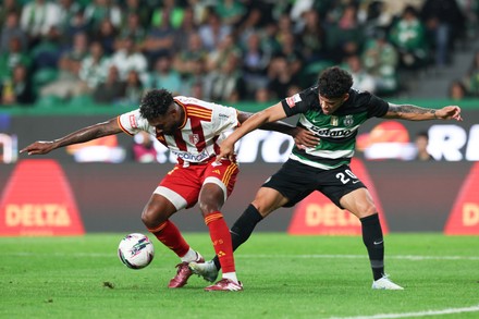 Nhận định, Soi kèo Sporting Lisbon vs AVS Futebol, 03h05 ngày 14/12: Chiến thắng tưng bừng - Ảnh 4