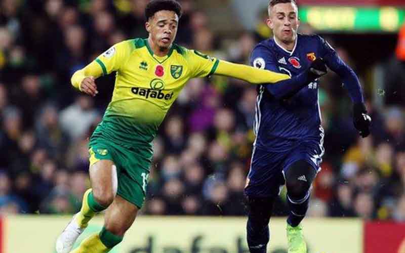Nhận định, Soi kèo Norwich City vs Watford 2h45 ngày 30/12: Nỗi buồn Chim Hoàng Yến - Ảnh 1