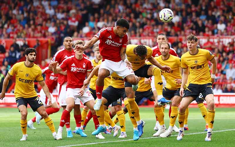 Nhận định, Soi kèo Nottingham vs Wolves 2h30 ngày 12/2: Nỗ lực trong vô vọng - Ảnh 1