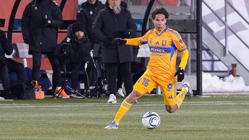 Nhận định, Soi kèo Tigres UANL vs Pachuca 8h ngày 21/2: Run sợ trước Bầy hổ - Ảnh 4