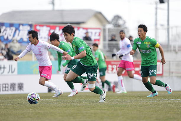 Nhận định, Soi kèo Tochigi vs Vanraure Hachinohe 16h30 ngày 8/4: Chưa hết ngày buồn - Ảnh 4