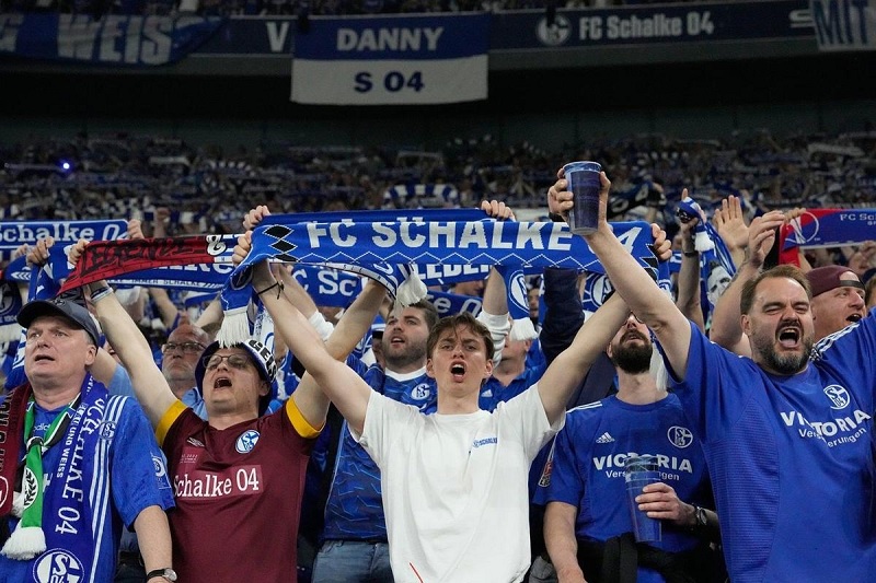 Dzeko cùng Schalke trở lại Bundesliga - Ảnh 2