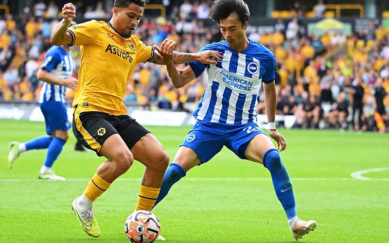 Nhận định, Soi kèo Brighton vs Wolves 21h00 ngày 9/5: Hạ gục Bầy Sói - Ảnh 1